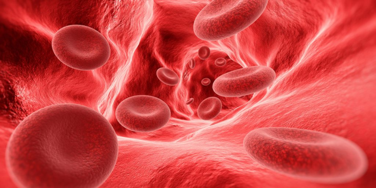 Anemija, kada organizmu nedostaje snage