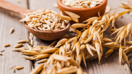 Ovas u ishrani – zašto je ova žitarica idealna za svakodnevne obroke